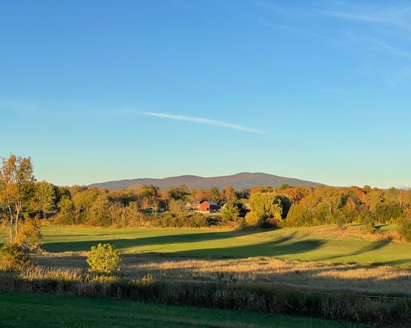 hannah sessions carousel10